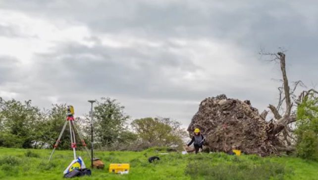 Un vânt puternic le-a smuls copacul din rădăcină! Când au văzut ce era îngropat acolo, au îngheţat!