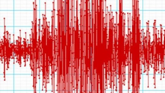 Activitate seismică intensă în Vrancea. 4 cutremure, într-o singură zi