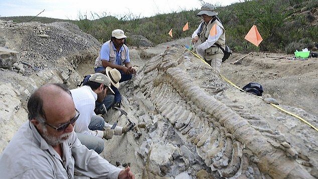 Descoperirea dintr-un râu! Este aproape ireal