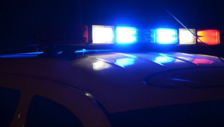 Foc de armă pentru prinderea unor hoți care au încercat să fugă de poliție