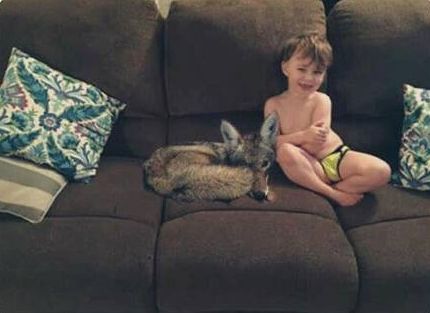 O femeie i-a trimis mesaj soţului că a adus un câine acasă. Când a văzut ce era, i-a cerut divorţul