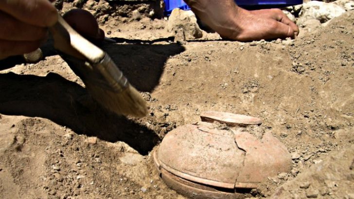 Au găsit o oală veche de 800 de ani, plină cu seminţe. Când au văzut ce a răsărit, au îngheţat! 