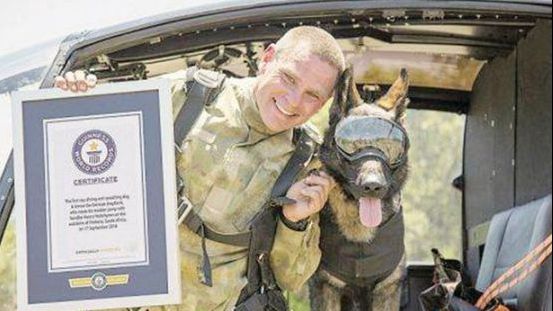 Cartea Recordurilor: Acesta este primul câine din lume care a zburat cu parașuta