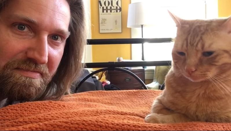 Pisica lui îl trezea în fiecare noapte, la ora 4. Cum s-a răzbunat? Tot Facebook-ul a râs