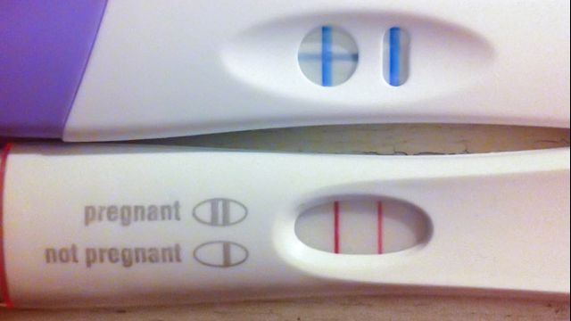 Câștigă 900 de lei pe zi mergând la toaletă. Femeia care a uimit lumea cu ideea ei de îmbogățire