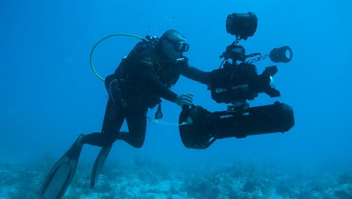 Imagini de COLECȚIE! Un rechin-fantomă, specie puțin cunoscută, a fost filmat pentru prima oară