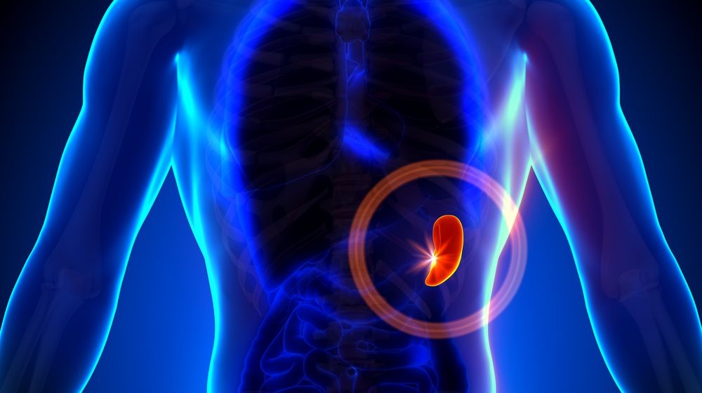 Ai aceste simptome? Mare atenţie! Ai splina mărită