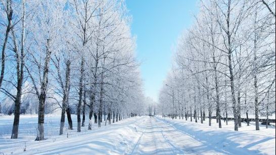 Iarna pune stăpânire pe toată țara. Prognoza meteo pentru miercuri și joi