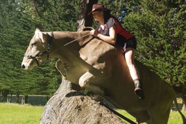 Părinţii n-aveau bani să-i cumpere un ponei, dar i-au luat o vacă. Pe ea a învăţat să călărească