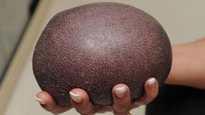 Pare o simplă piatră. Dar ce se ascunde cu adevărat în spatele acestei aparenţe. Nu se poate!