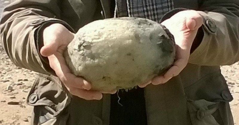 Se plimbau pe plajă şi au găsit asta! S-au îmbogăţit! Valorează 71.000 de dolari