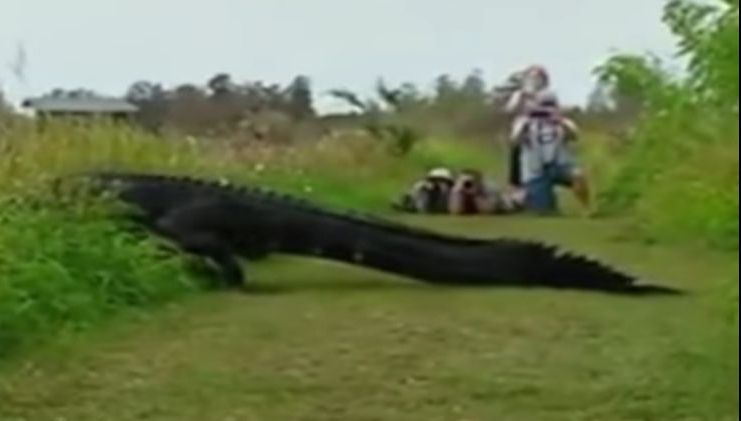 Imaginile virale ale momentului! Oamenilor dintr-un parc naţional nu le-a venit să creadă ce văd