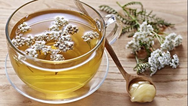 Coada Șoricelului, regina plantelor medicinale din România. Cum s-o consumi în caz de hipertensiune