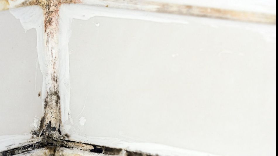 4 trucuri uluitoare de curățenie. Cum să scapi de murdărie în doar câteva secunde 