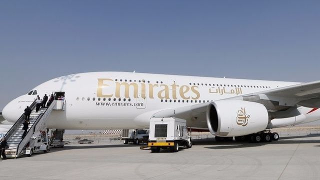 Zbor anulat, după ce s-a descoperit un şarpe în cala de bagaje