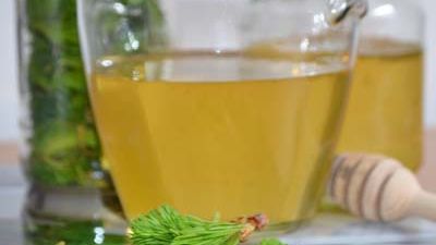 Remedii extraordinare pe bază de muguri de brad