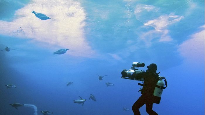 Un peşte rar, descoperit cu doar doi ani în urmă, a fost filmat pentru prima dată