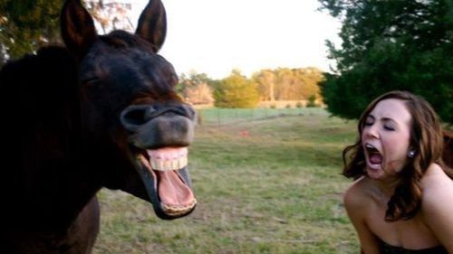 Ai prieteni care preferă umorul negru? Ce au descoperit oamenii de știință despre ei