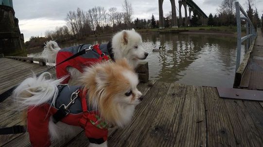 Emoţionant! Secretul din spatele acestei fotografii îţi va da o lecţie importantă de viaţă