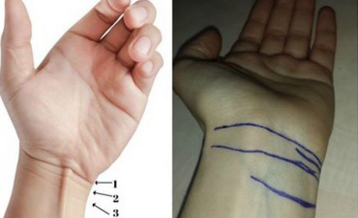 Numărul lor îți arată când vei muri. Tu câte linii ai la încheietura mâinii?