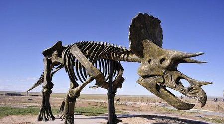 Descoperire uluitoare! Ce au găsit arheologii pe scheletul unui dinozaur de 195 de milioane de ani?