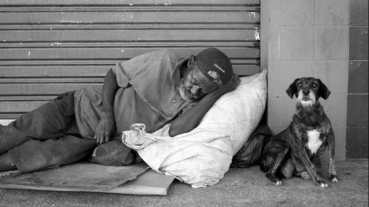 Trecătorii au plâns când au văzut asta. Ce a apărut în oraș peste noapte. Oamenii străzii, alungați