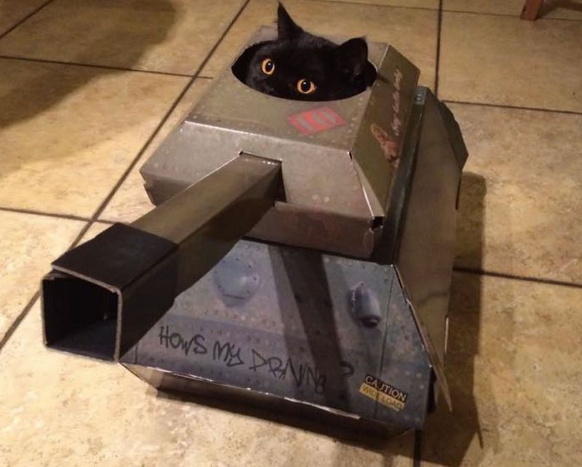 Vrei să îţi faci pisica fericită? Iată cea mai noua invenţie în materie de jucării pentru feline 