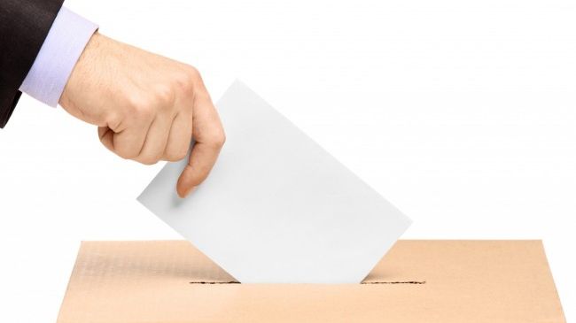 În România au avut loc, până acum, 13 referendumuri. Care au fost mizele 