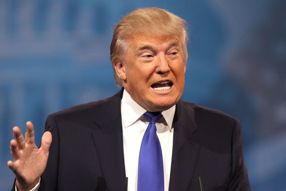 Administrația Trump: miliardari, titani ai Wall-Street-ului, ultraconservatori și outsideri politici