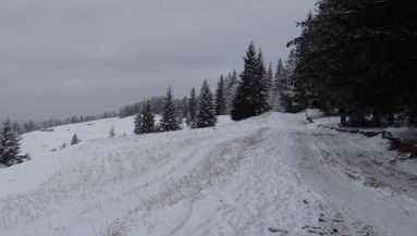 Turiștii rătăciți la Azuga au fost găsiți, după 12 ore de căutări