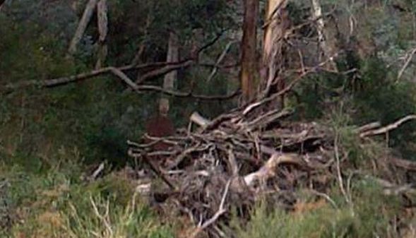 Se plimba printr-o zonă unde au avut loc multe sinucideri.A făcut poze naturii.S-a uitat în ele, ŞOC