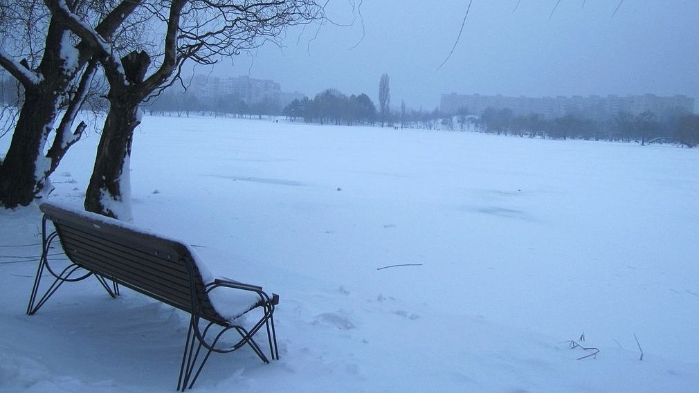 Descoperire MACABRĂ în parcul IOR. O femeie de 50 de ani a fost găsită moartă sub zăpadă 