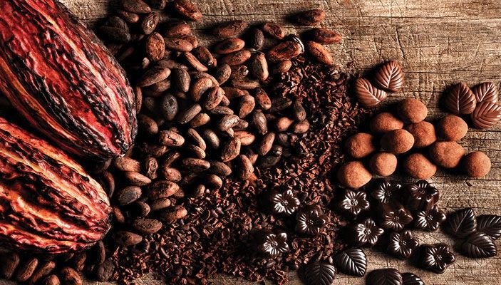 De ce ne place ciocolata? Legătura între ciocolată și laptele matern