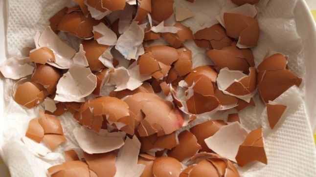 Arunci cojile de ou? După ce vei citi asta nu vei mai arunca niciodată cojile de ou
