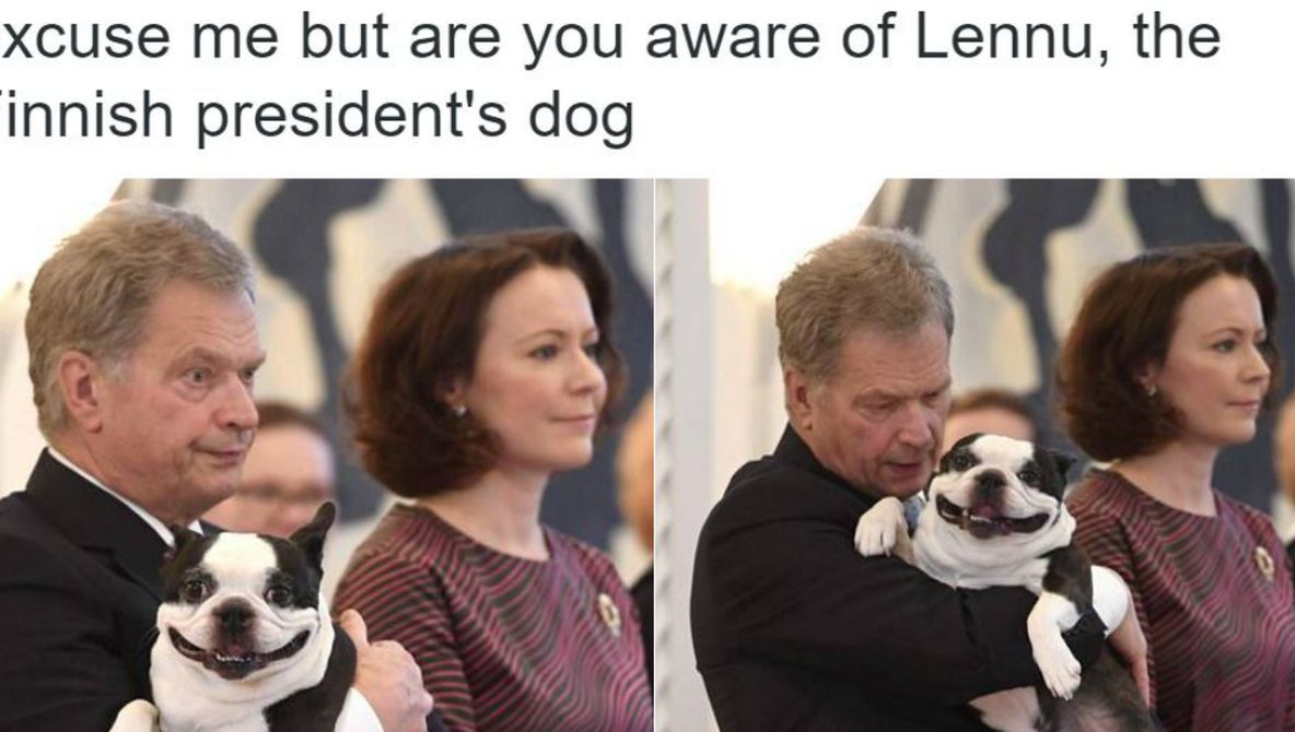 Cum a devenit câinele preşedintelui din Finlanda un FENOMEN pe internet