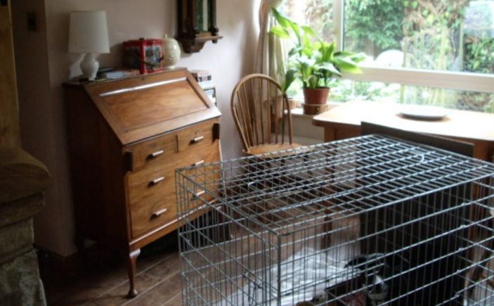 Vecinii i-au văzut că ţineau o cuşcă ciudată în casă. Au chemat poliţia. ŞOC! Trăia acolo de 5 ani