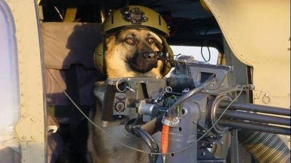 A dat vina pe câine! Un american a spus poliției că el i-a împușcat iubita 