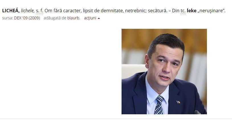 Dexonline exemplifică cuvântul zilei - "LICHEA", cu poza lui Grindeanu