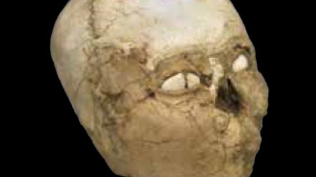 Cum arătau oamenii acum 9500 de ani. Oamenii de ştiinţă au reconstruit un craniu