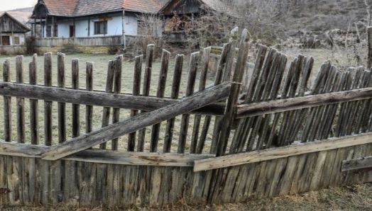 Scene uluitoare, în Timiş. Au vrut să jefuiască o casă, dar n-au găsit bani. Cu ce au plecat hoţii