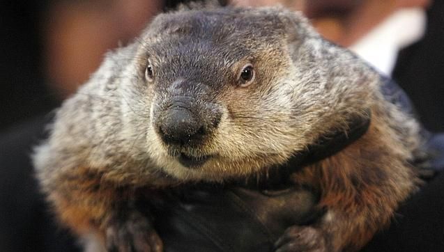 Previziunea INCREDIBILĂ a marmotei Phil despre SUA. Ce se va întâmpla în următoarea perioadă?