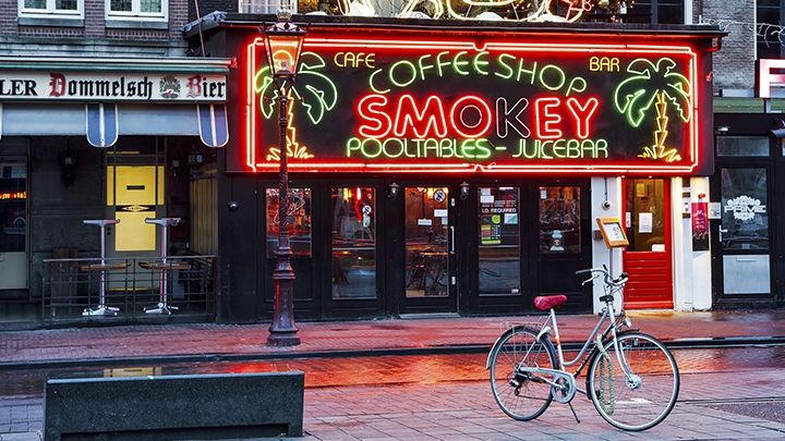 Undă verde la cannabis. Ce țară europeană anulează interdicțiile privind cultivarea