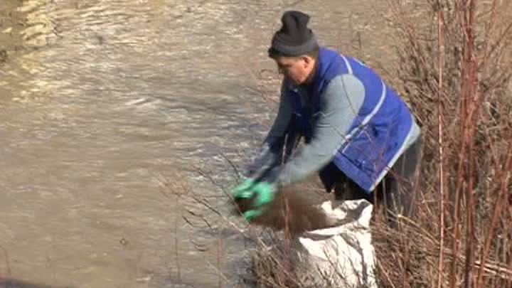 Situaţie critică în Iaşi. Patru râuri au fost poluate 