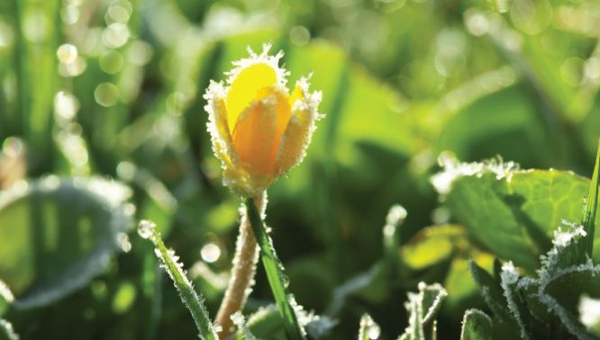 Prognoza meteo pentru trei luni. Cum va fi vremea de Paşti