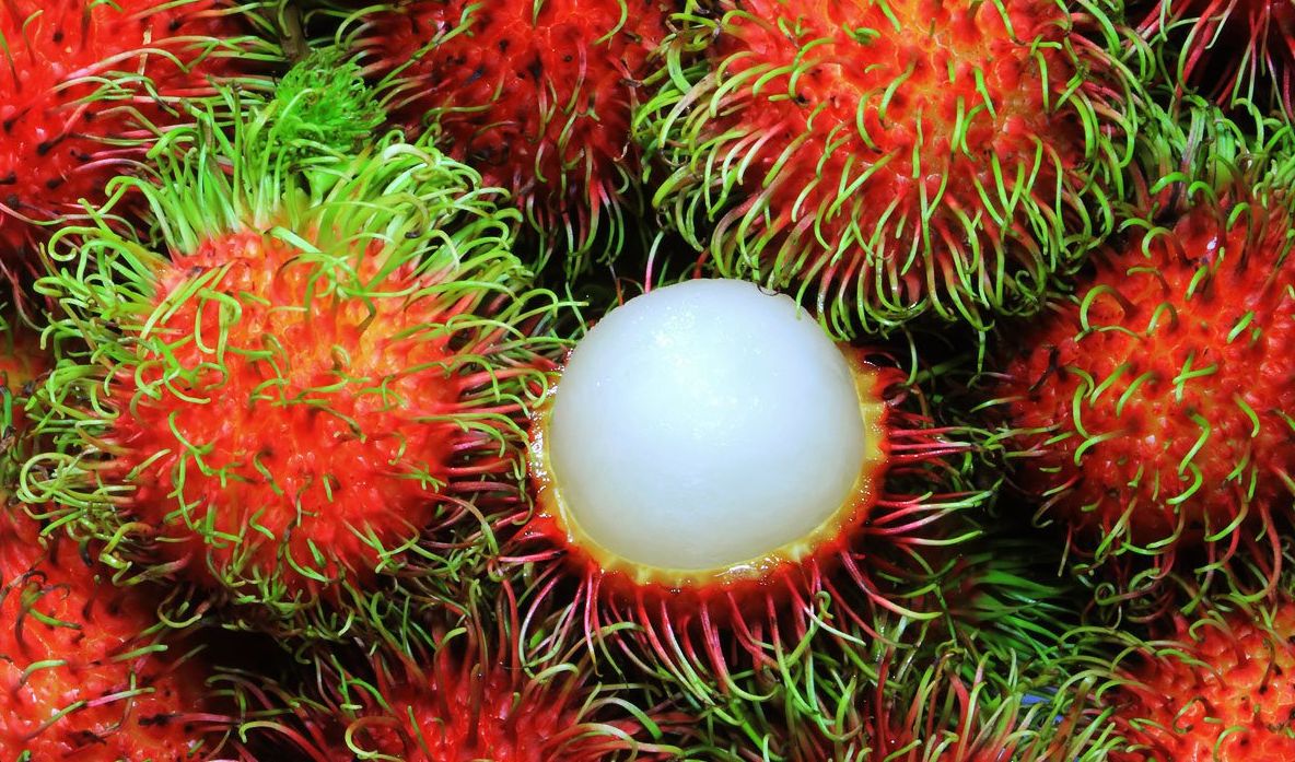  Ce este, de fapt, RAMBUTANUL, fructul bizar care se găseşte şi în România