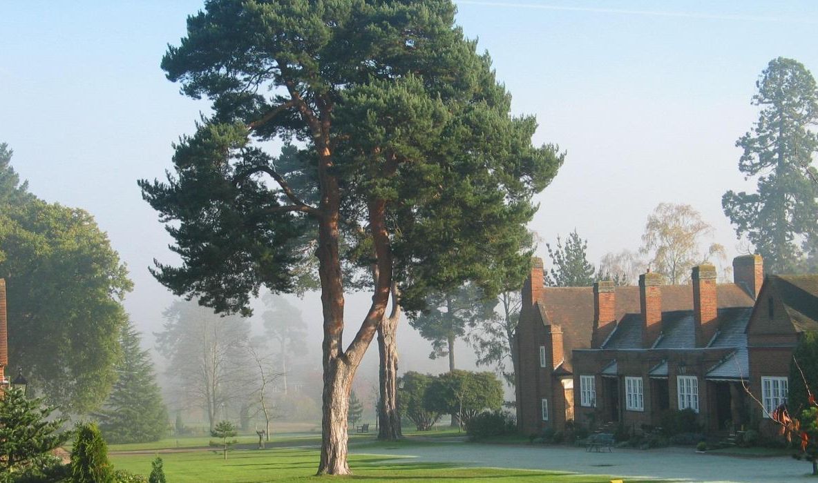 Satul în care femeile trăiesc cu şase ani mai mult decât oamenii din restul lumii