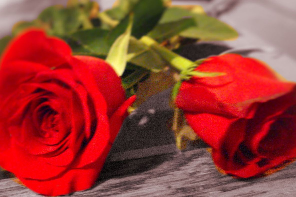 LOTO. Extragere specială de Dragobete