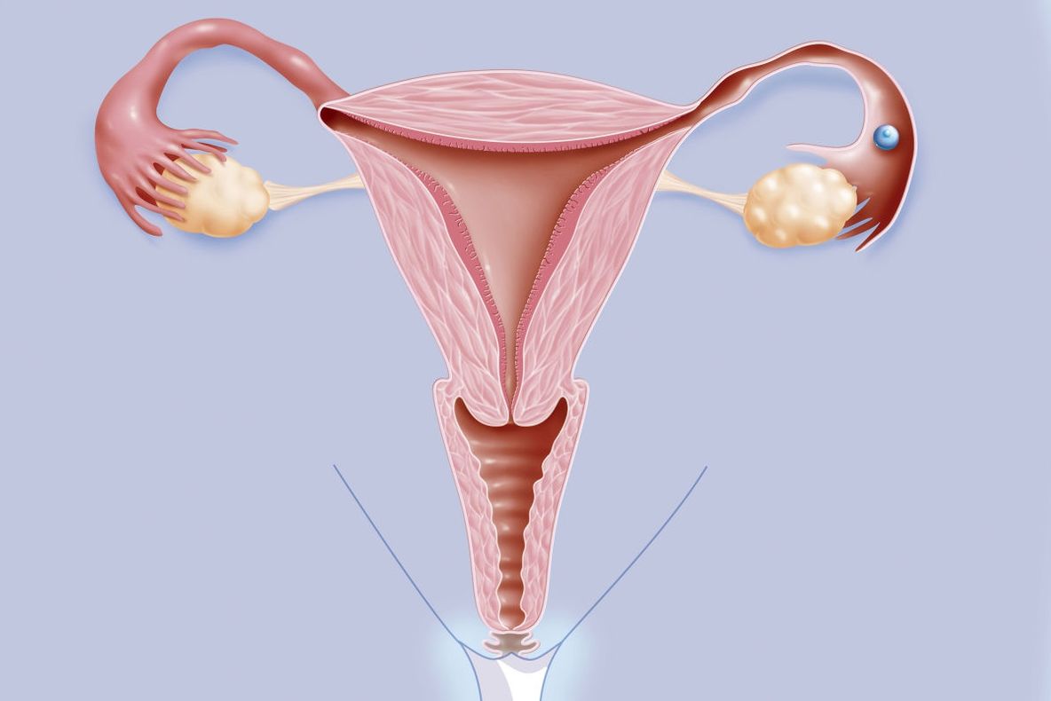 Ce se întâmplă cu vaginul tău dacă nu ai activitate sexuală. Toate femeile ar trebui să ştie asta