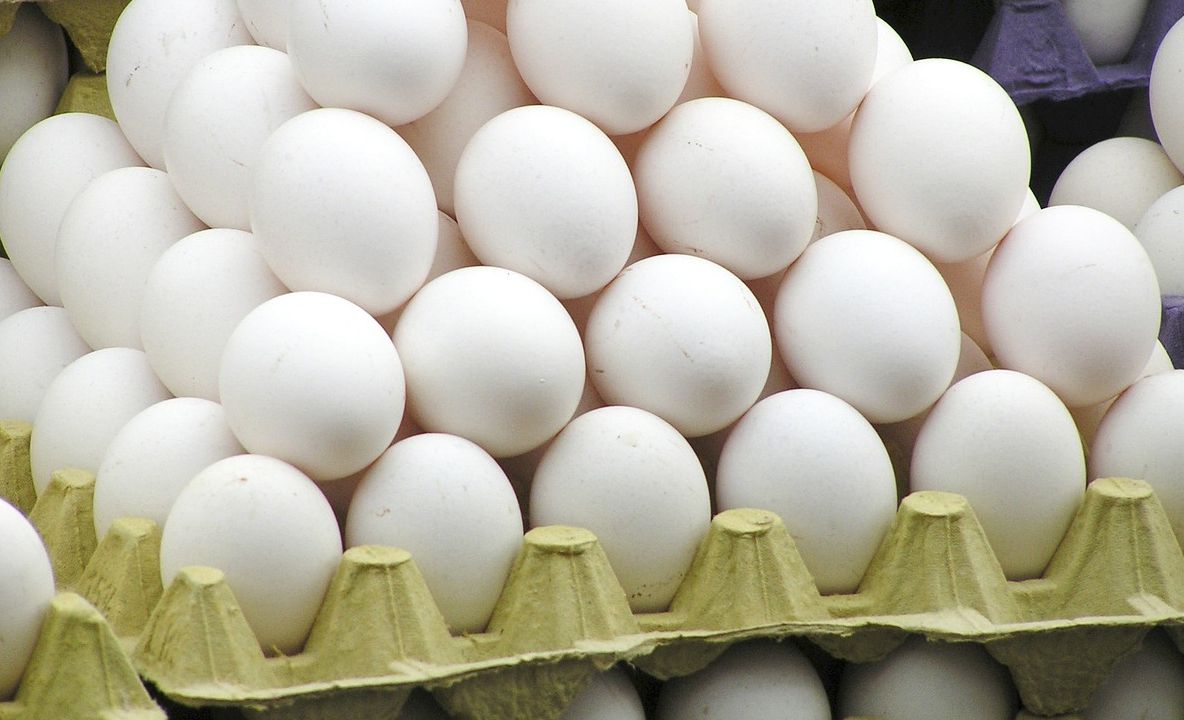 Vânzarea de ouă de către producătorii individuali, interzisă în piețele din sectorul 1