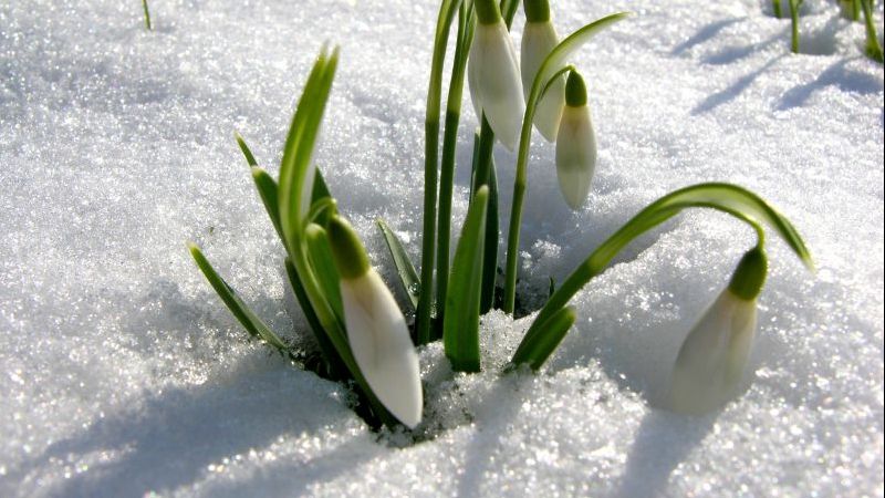 Vremea, deosebit de caldă pentru această perioadă. Ce temperaturi vor fi miercuri, joi și vineri